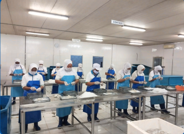 Processing Area 1